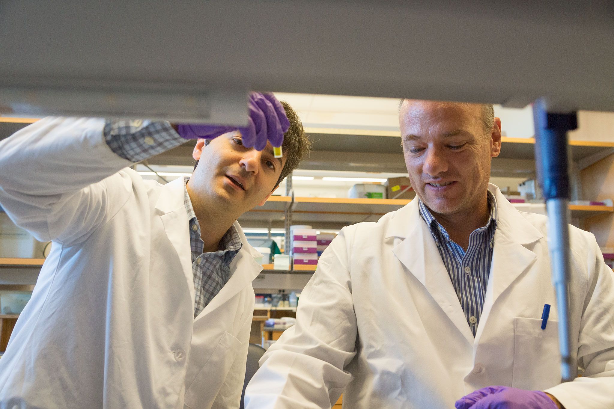 Faculty conducting research in a lab.